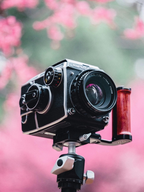 pexels-cz-jen-3774356-15613791