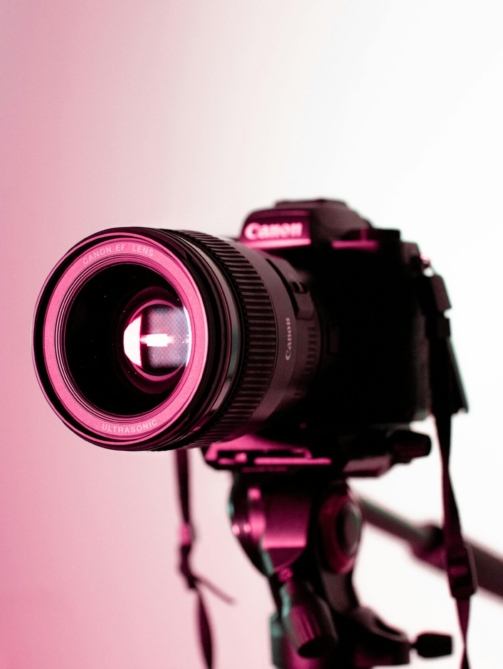 pexels-jibarofoto-1787220